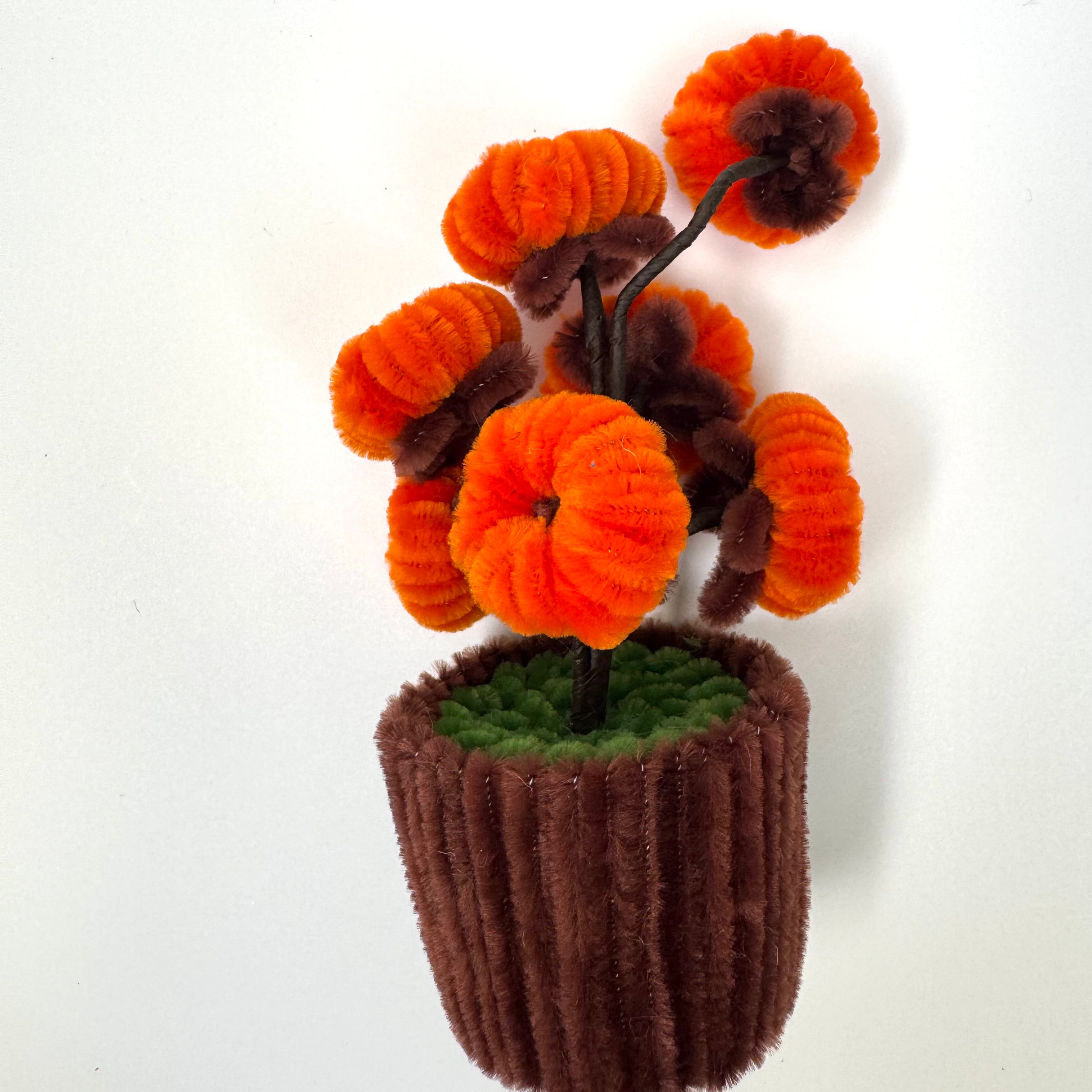 Marigold Mini Pot